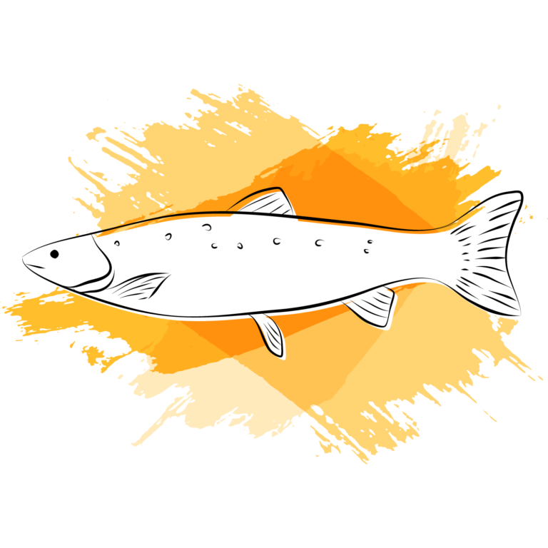 Eine schwarz-weiß Illustration eines Fisches. Im Hintergrund sind orange Pinselstriche.