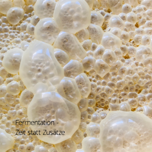 Fermentation