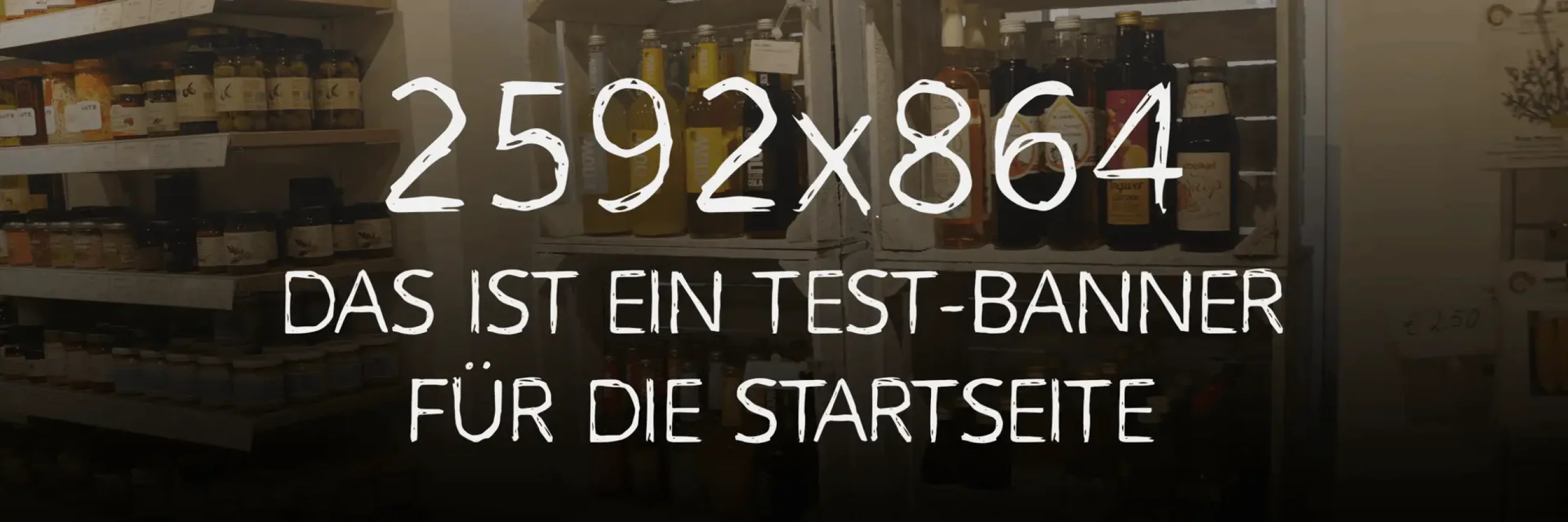 lo-testbanner-2592x864